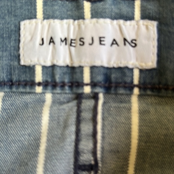 James Jeans Twiggy Ankle Jeans in Bengal Stripes - Picture 10 of 11